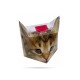 Kubek - Koty z kłębkiem wełny + pudełko z ogonkiem 017-0022